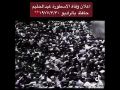اعلان وفاة عبدالحليم حافظ عام