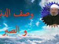 وصف الدنيا و الصبر الدكتور يوسف القرضاوي رحمه الله