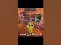 ياسر هذا