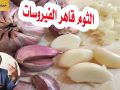 محمد الفايد